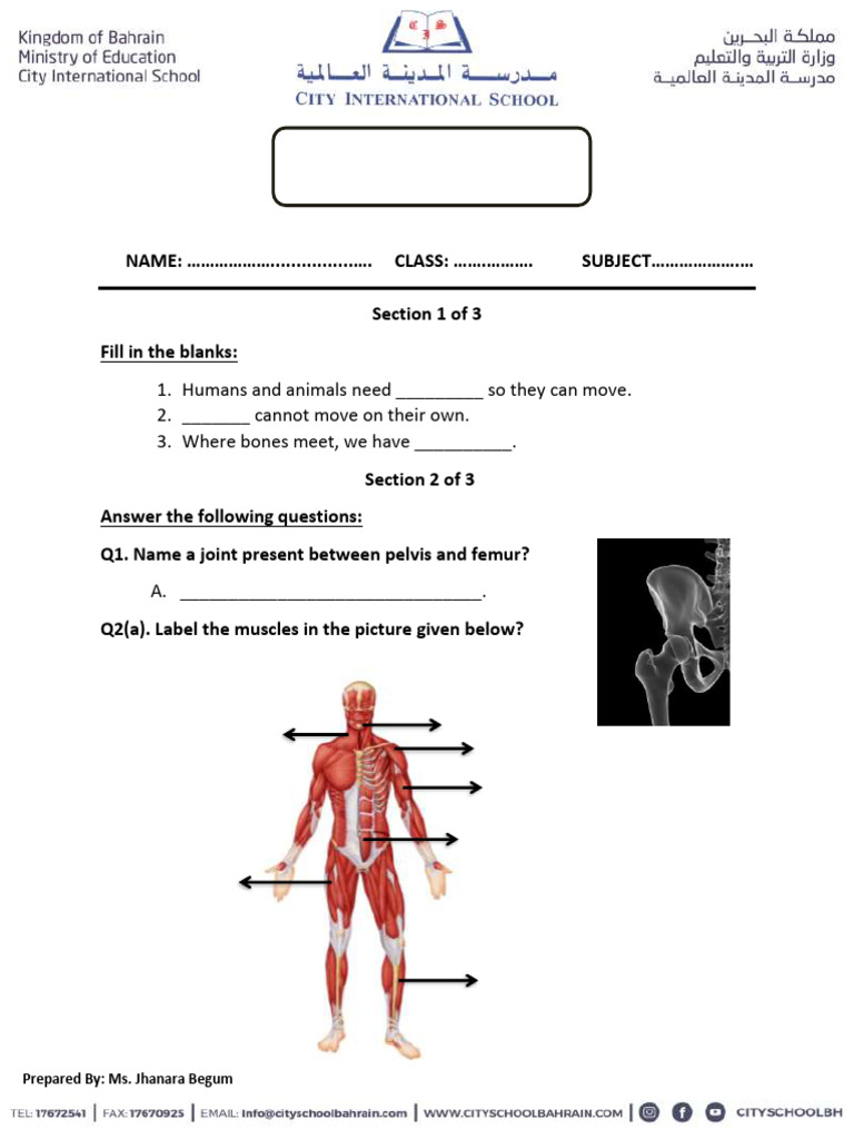 G4 Worksheet 5 - Sci | PDF