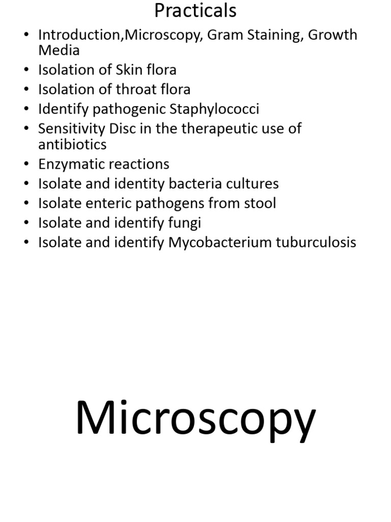 Gram Staining and Bacterial Identification | PDF | Staining | Gram ...