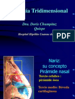 1º Nariz - Anatomia, Fisiologia y Senos Paranasales