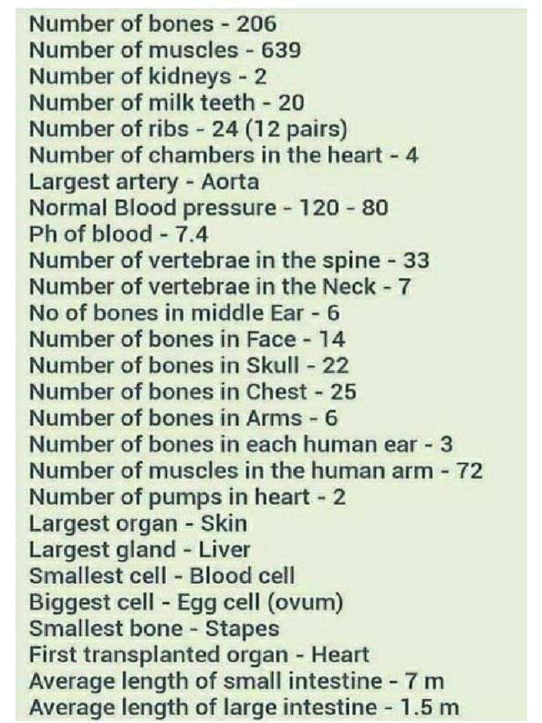 Human Body Knowledge | PDF