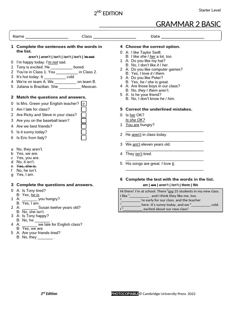 Basic Grammar Exercises for Beginners | PDF | Linguistics