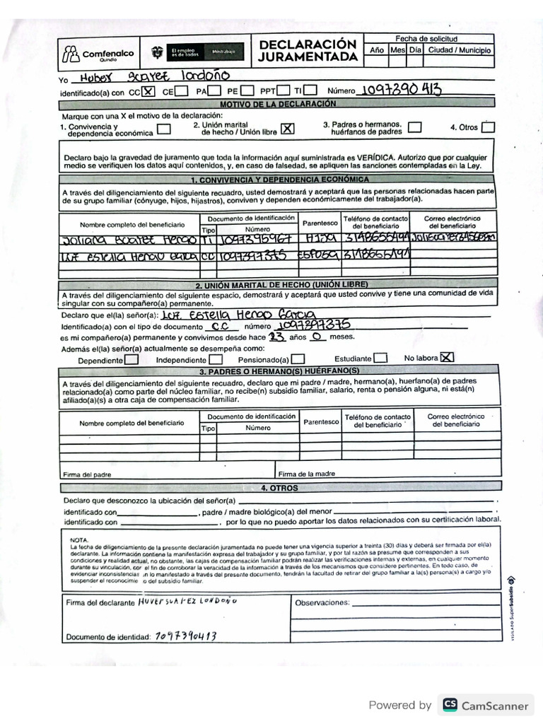 Declaración | PDF