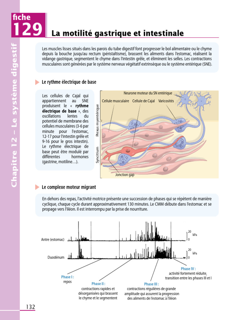 Motilité gastrique et intestinale expliquée PDF Tractus gastro — free download