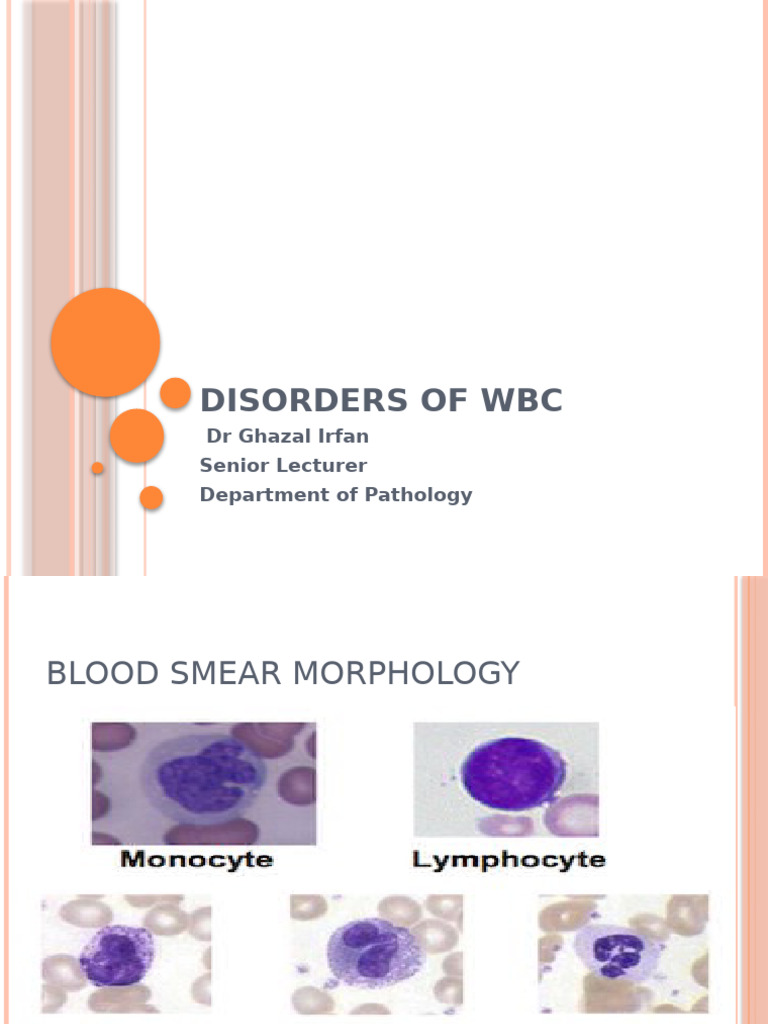 White Blood Cell Disorders Overview | PDF | White Blood Cell | Clinical ...