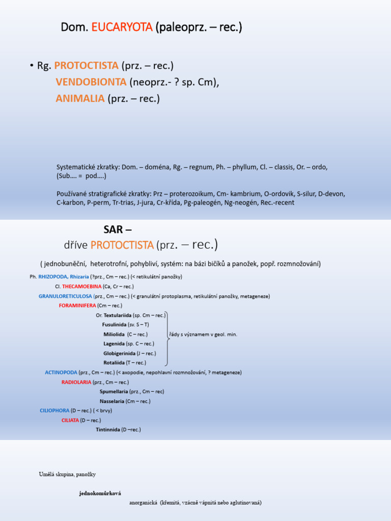 Protozoa Vermes | PDF