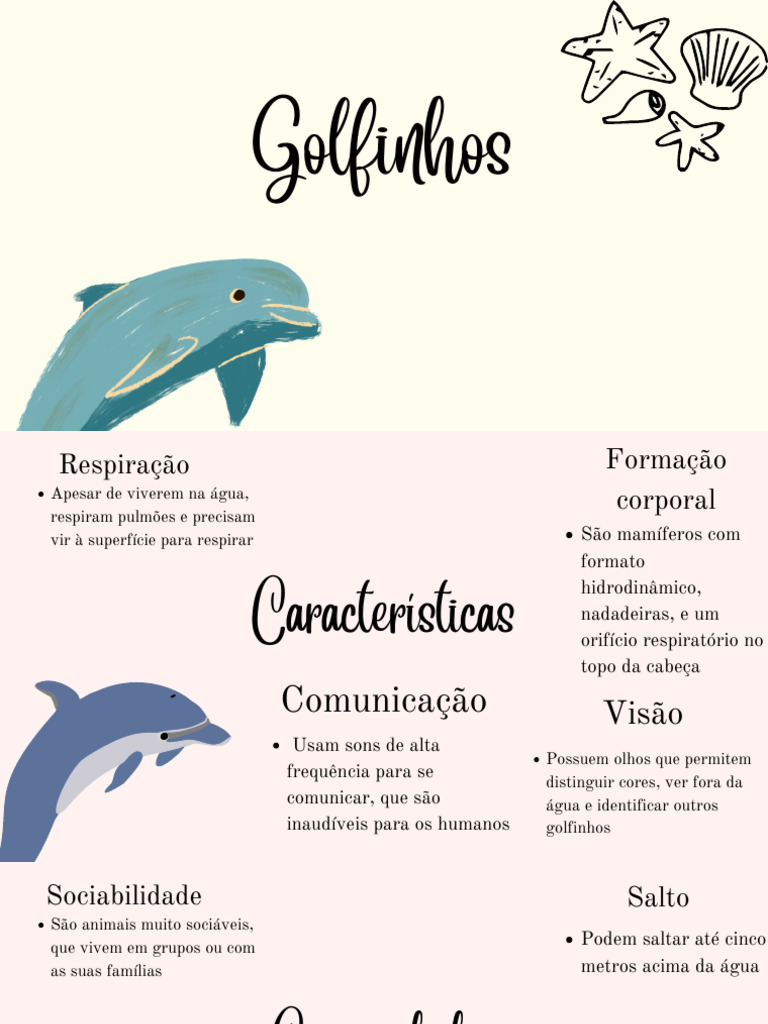 Características e Curiosidades dos Golfinhos | PDF