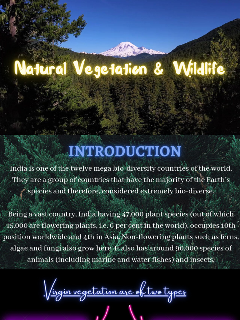 Natural Vegetation and Wildlife | PDF | Forests | Rain
