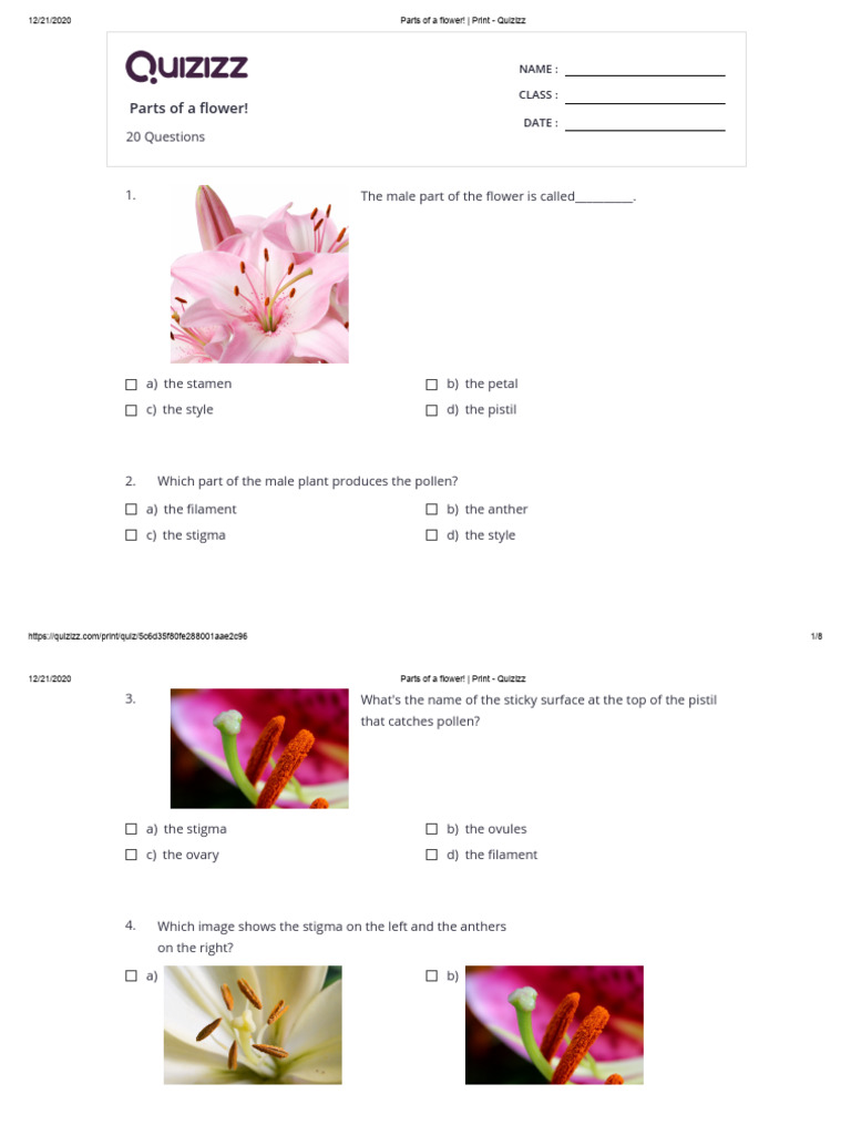 Parts of A Flower! - Print - Quizizz | PDF | Flowers | Branches Of Botany