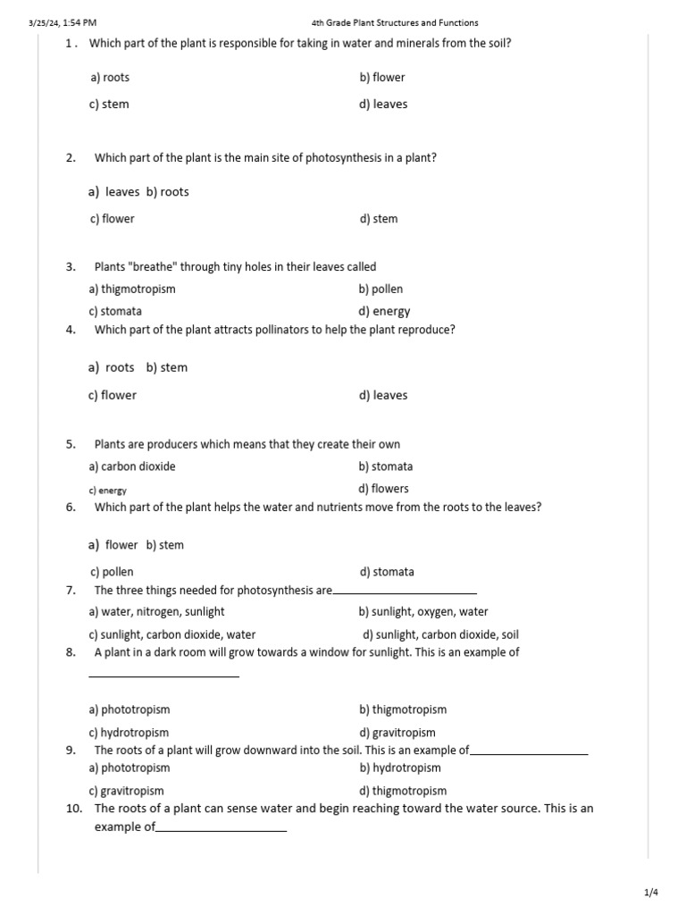4 Science Worksheet March 2024 | PDF | Plants | Root