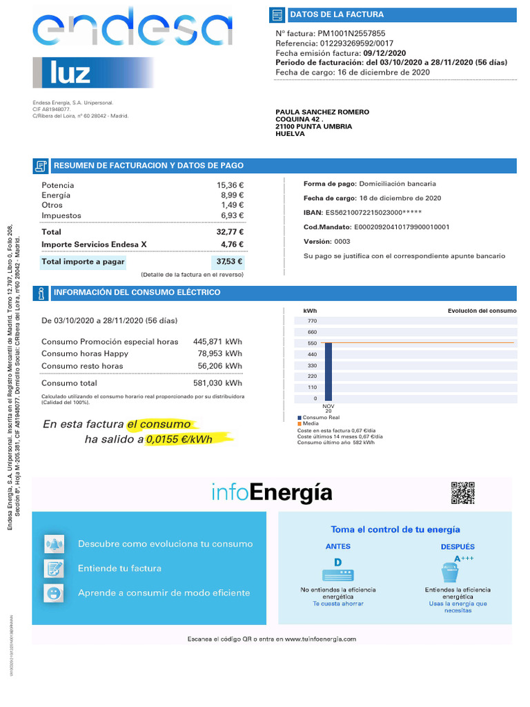 Factura de Electricidad Endesa: Resumen y Detalles | PDF | Factura ...