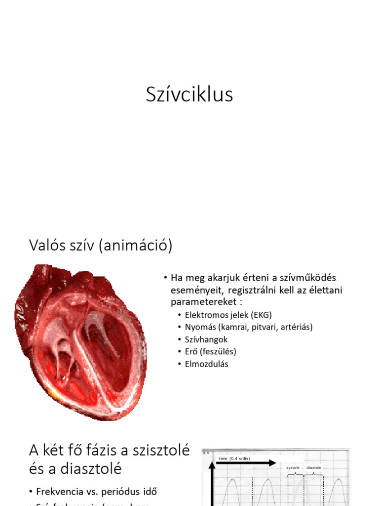 Cardiac Cycle Hun 2023 | PDF