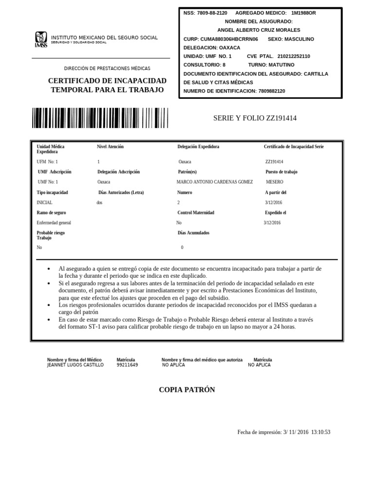 Formato de Incapacidad IMSS Editable | PDF | Ciencias de la Salud