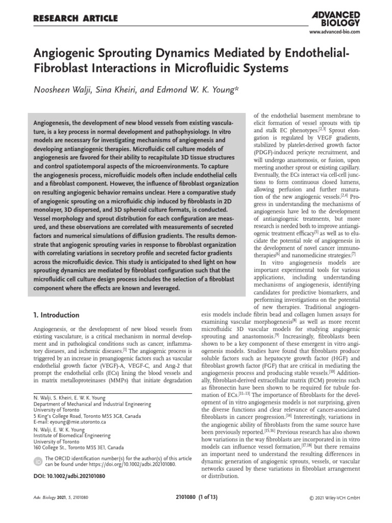 Angiogenic Sprouting Dynamics Mediated by Endothelial Fibroblast ...