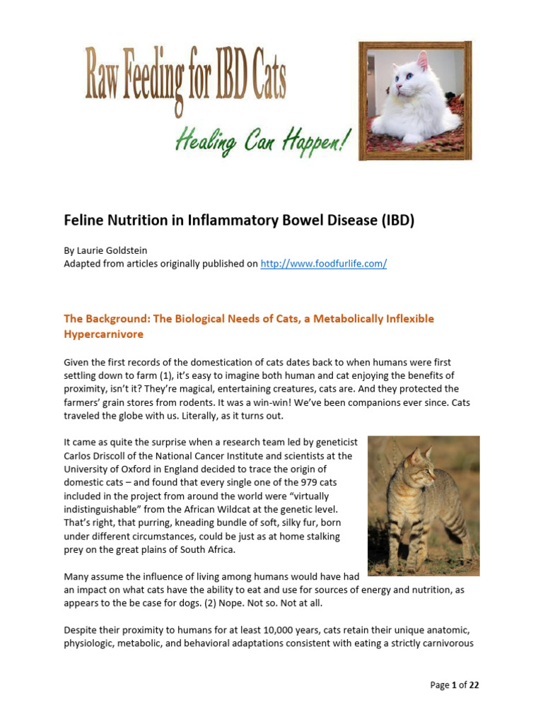 Diet Solutions for IBD Cats | PDF | Omega 3 Fatty Acid | Foods