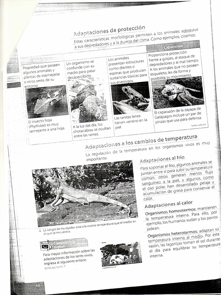 Img 028 | PDF