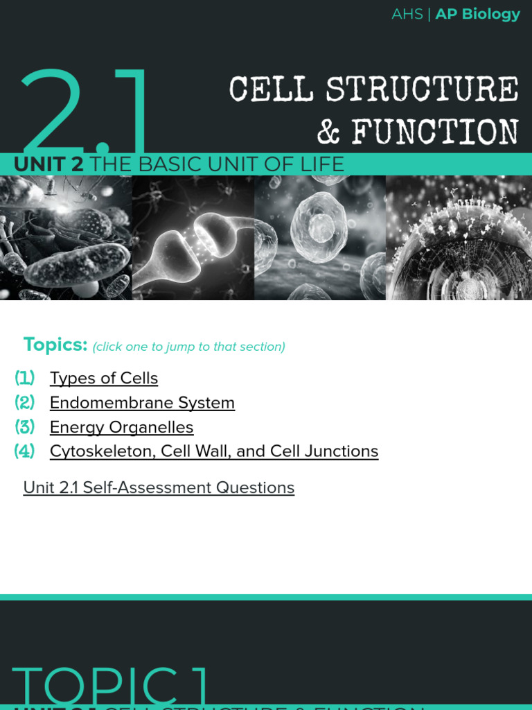 Understanding Cell Structure and Function | PDF | Endoplasmic Reticulum ...
