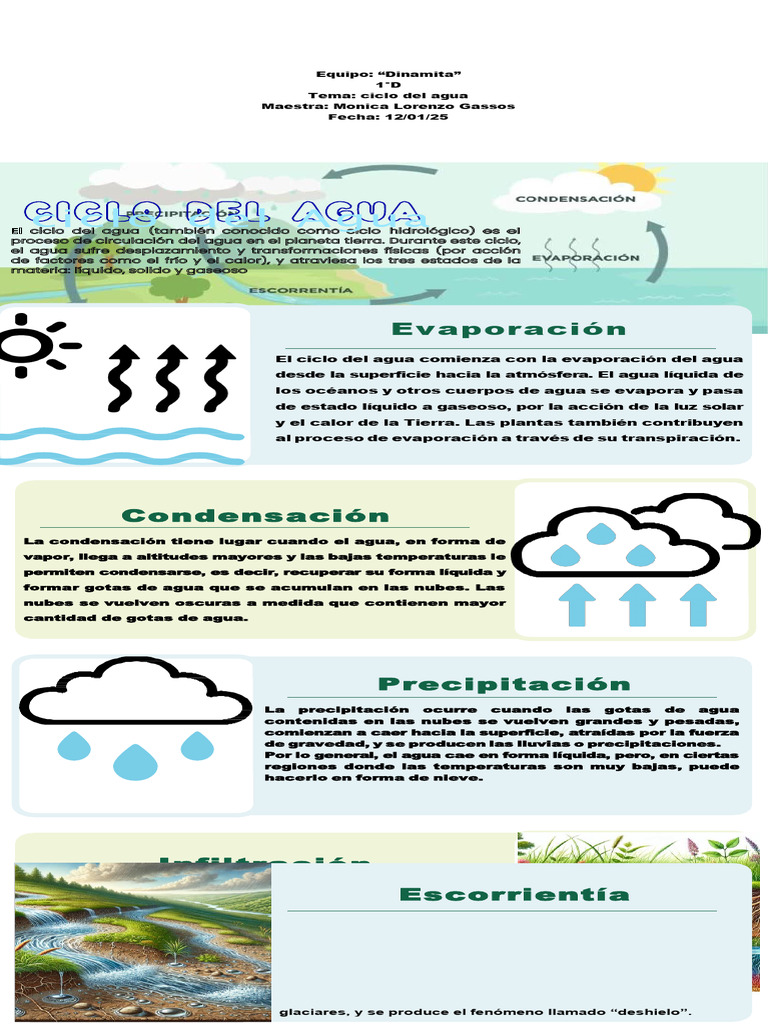 Proceso del Ciclo del Agua Explicado | PDF | Agua | Precipitación