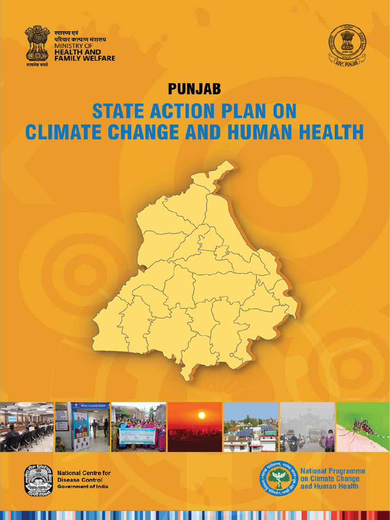 Punjab Climate Change Health Action Plan | PDF | Air Pollution ...