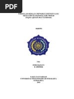 Download K100050046 by Wita Putri SN82290371 doc pdf