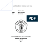 Download tingkah laku ikan by rinda78 SN82290796 doc pdf