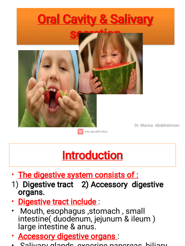 Oral Cavity and Salivary Secretion Overview | PDF | Saliva ...