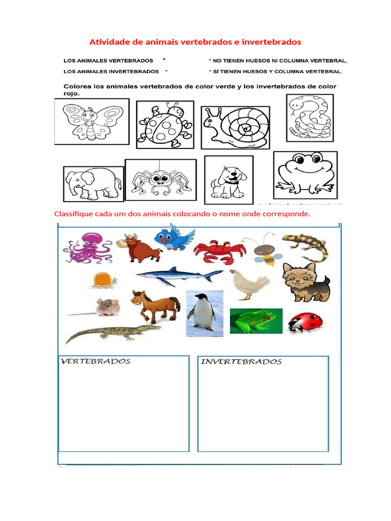 Classificação de Animais | PDF