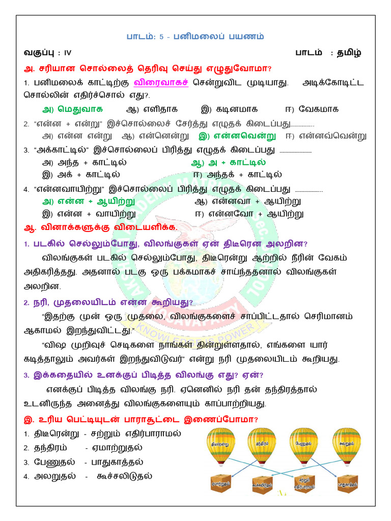 4 Tam Unit 5 | PDF