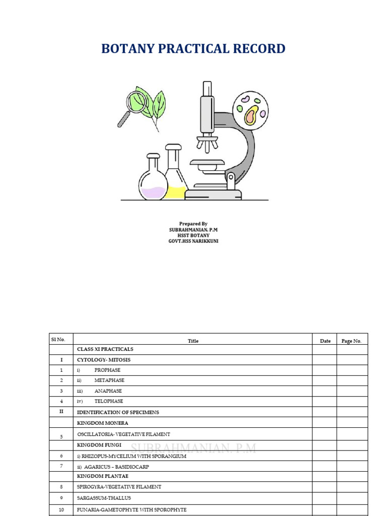 Botany Practical Manual 2024-25 | PDF | Mitosis | Plant Stem