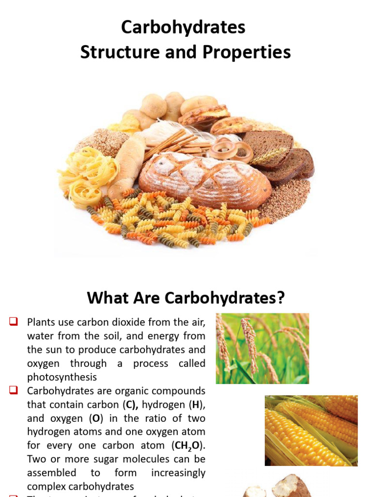 Understanding Carbohydrates: Types & Functions | PDF | Carbohydrates ...