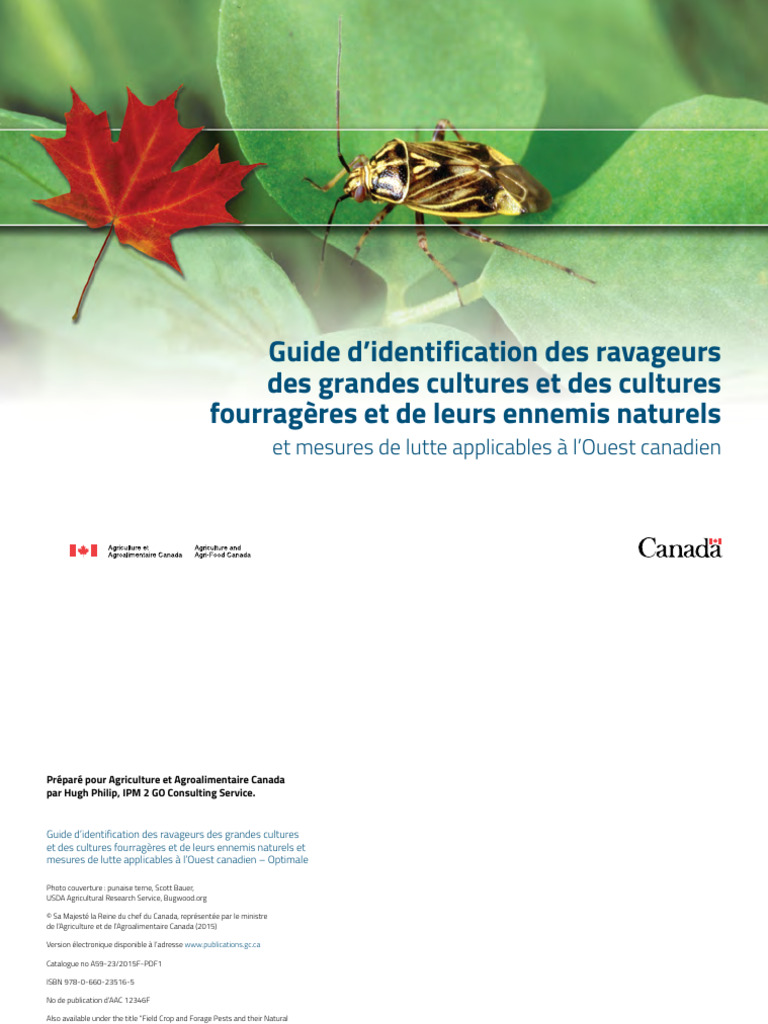 Identification des ravageurs des cultures | PDF | Insectes | Pesticide
