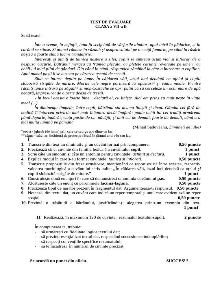 TEST DE EVALUARE - Docx 7C | PDF