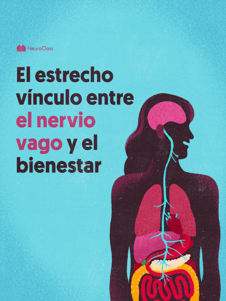 Nervio Vago Pdf