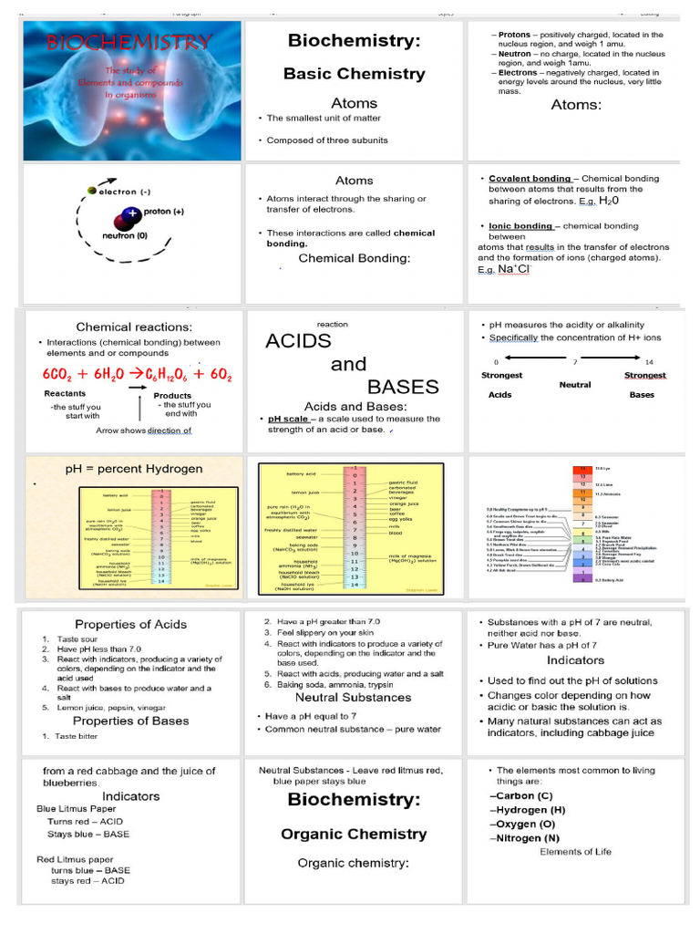Biochem | PDF