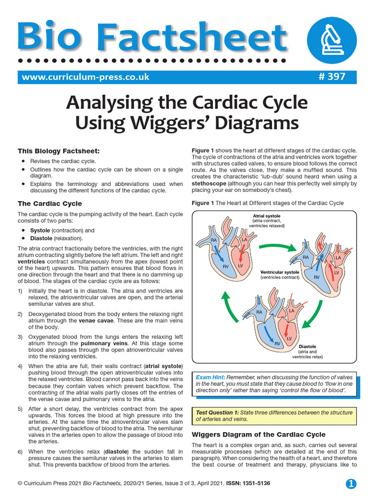 397-Analysing-the-Cardiac-Cycle-Using-Wiggers-Diagrams | PDF | Diastole ...