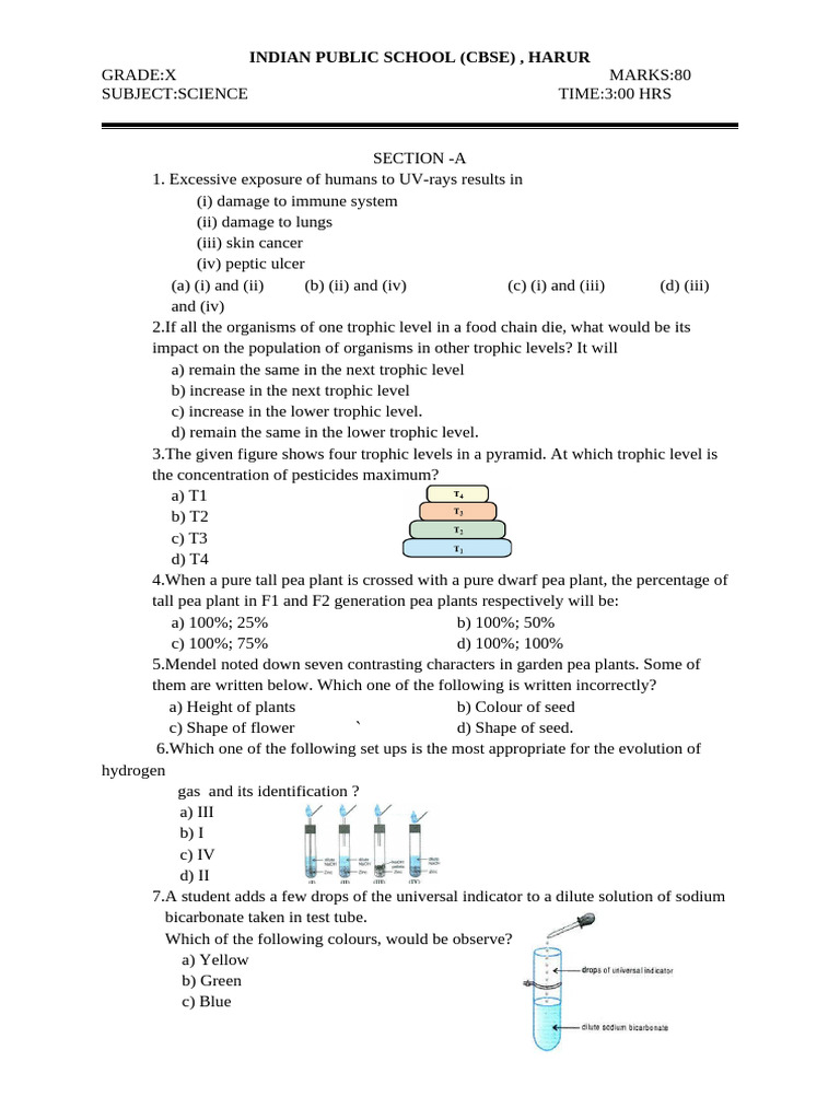 10 Sci Modified Question | PDF | Mirror | Food Web