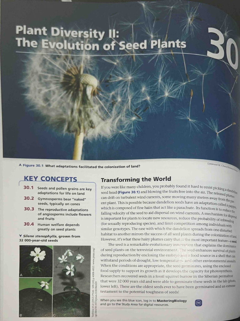 Chap 30 | PDF | Seed | Fertilisation