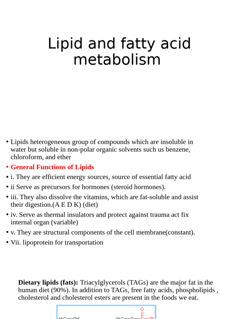 Lipid Metabolism: Functions and Digestion | PDF | Nicotinamide Adenine ...