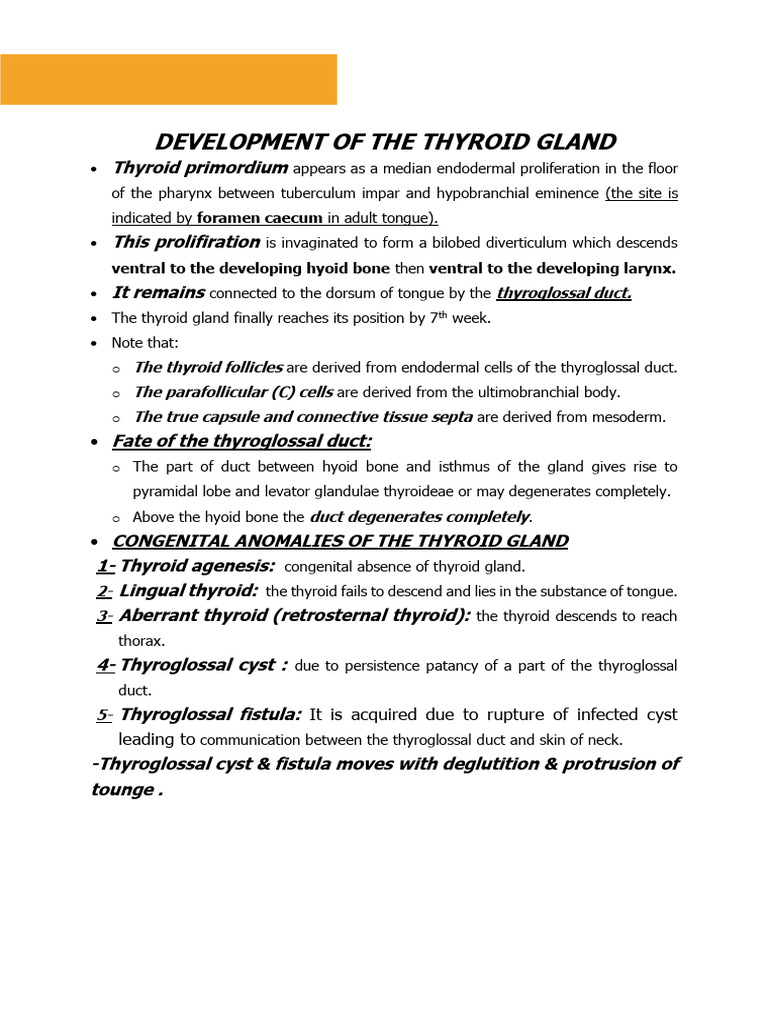Thyroid Gland Development & Anomalies | PDF | Thyroid | Parathyroid Gland