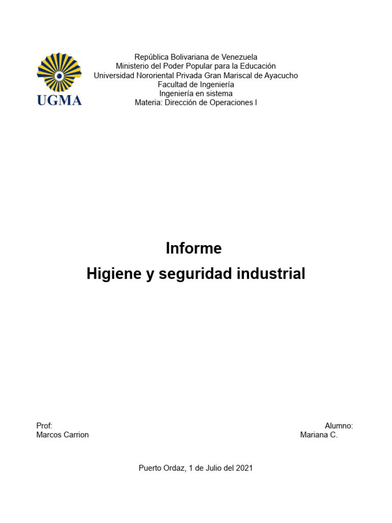 Higiene y Seguridad Industrial en el Trabajo | PDF | Higiene ...
