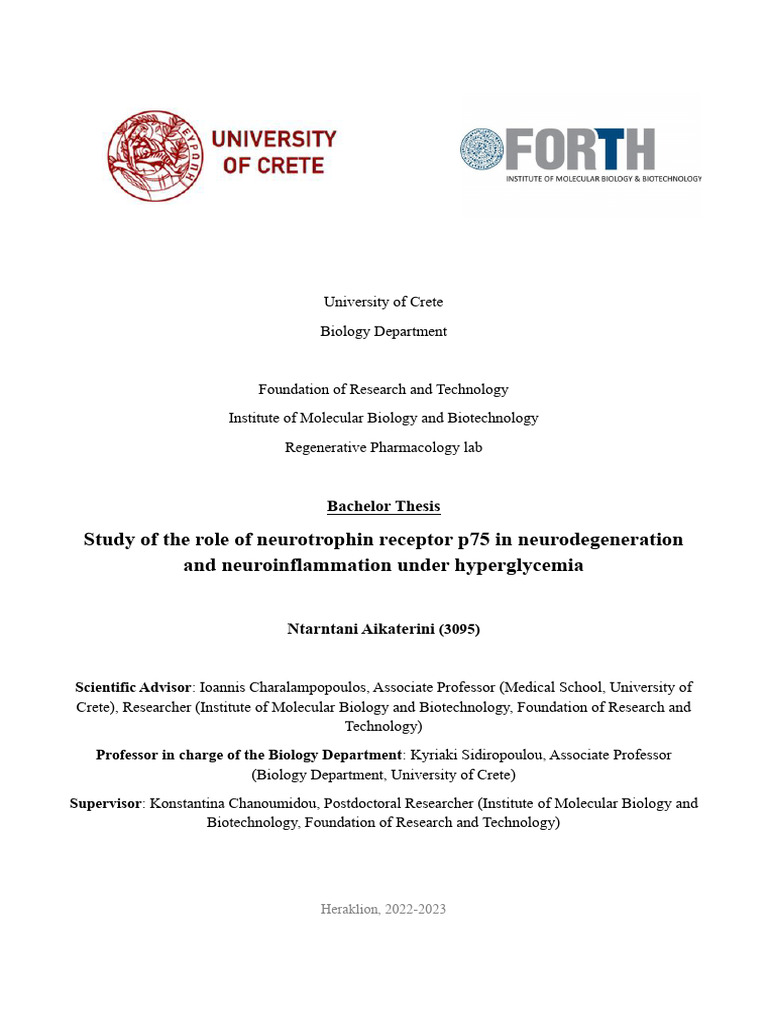 Bachelor Thesis | PDF