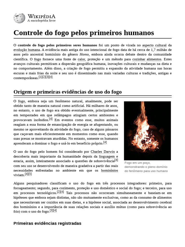 Controle Do Fogo Pelos Primeiros Humanos | PDF | Homo | Artefato ...