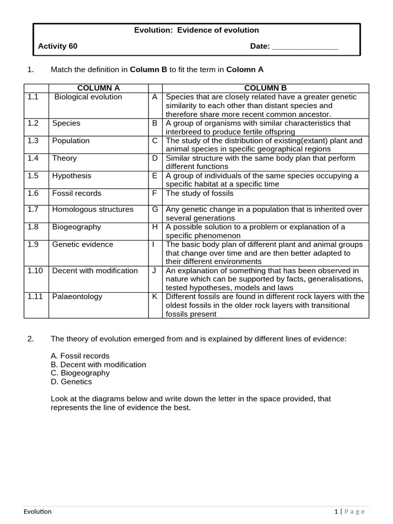 Activity 60 Evidence of evolution (2) | PDF | Evolution | Species