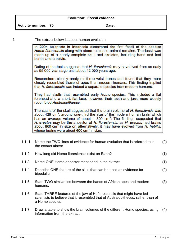Human Evolution Study Guide | PDF | Homo | Human Evolution