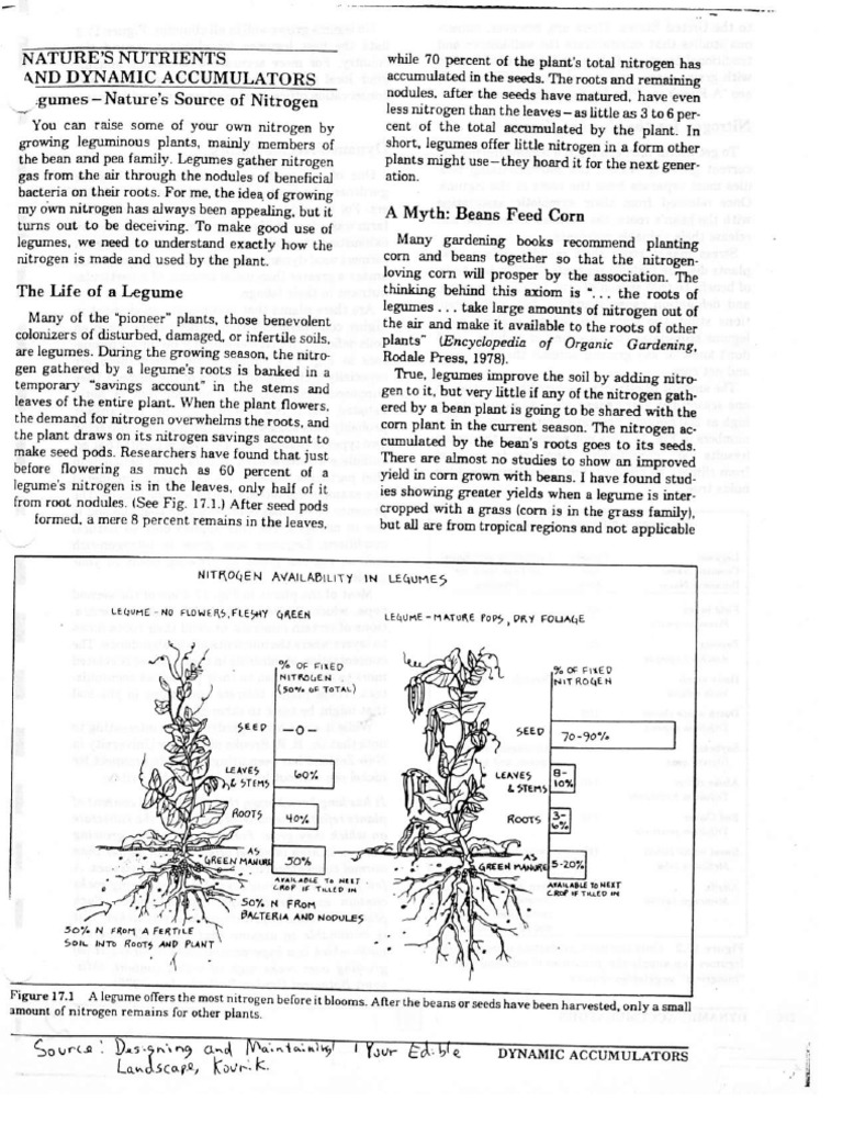 Nutrient and Dynamic Accumulators | PDF