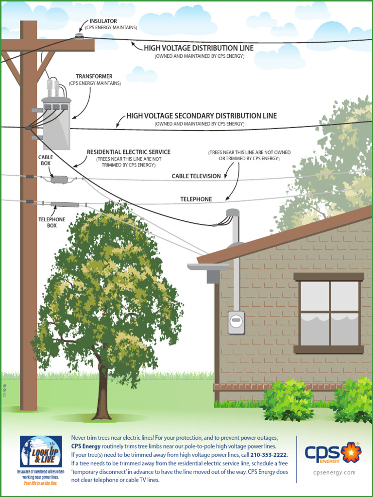 Tree Trimming Near Power Lines Guide | PDF