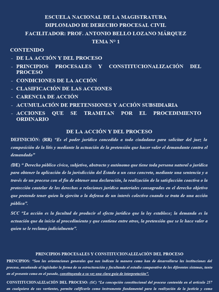 Diplomado en Derecho Procesal Civil | PDF | Ley procesal | Demanda judicial