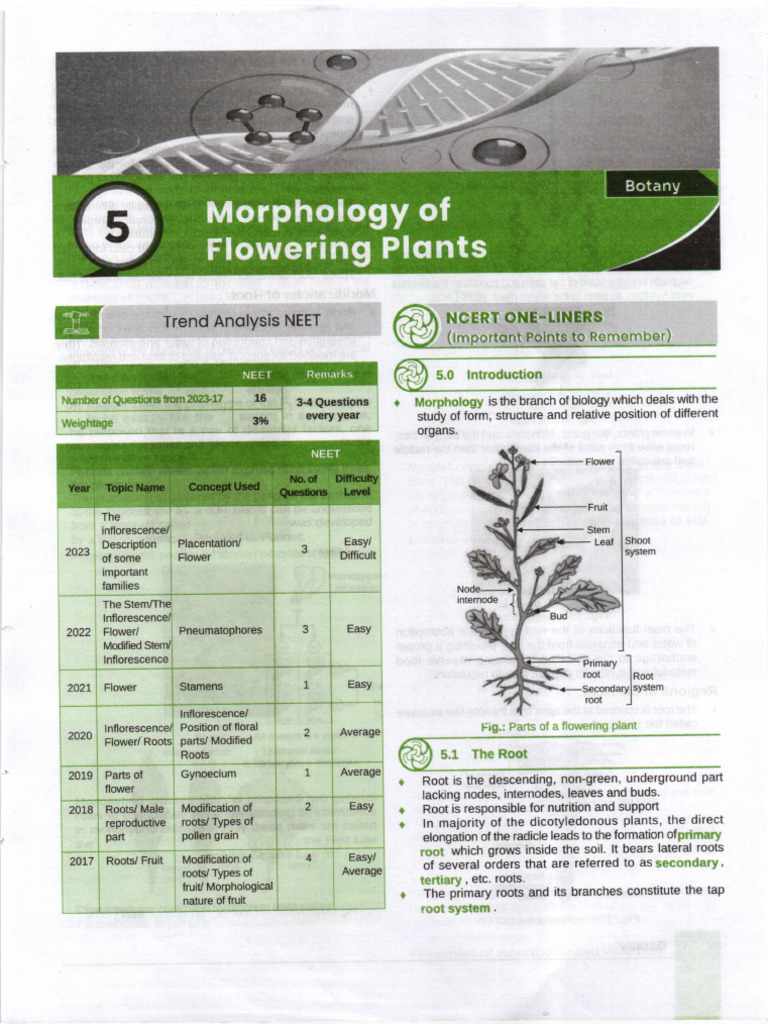 5. Morphology of Flowering Plants | PDF | Leaf | Flowers