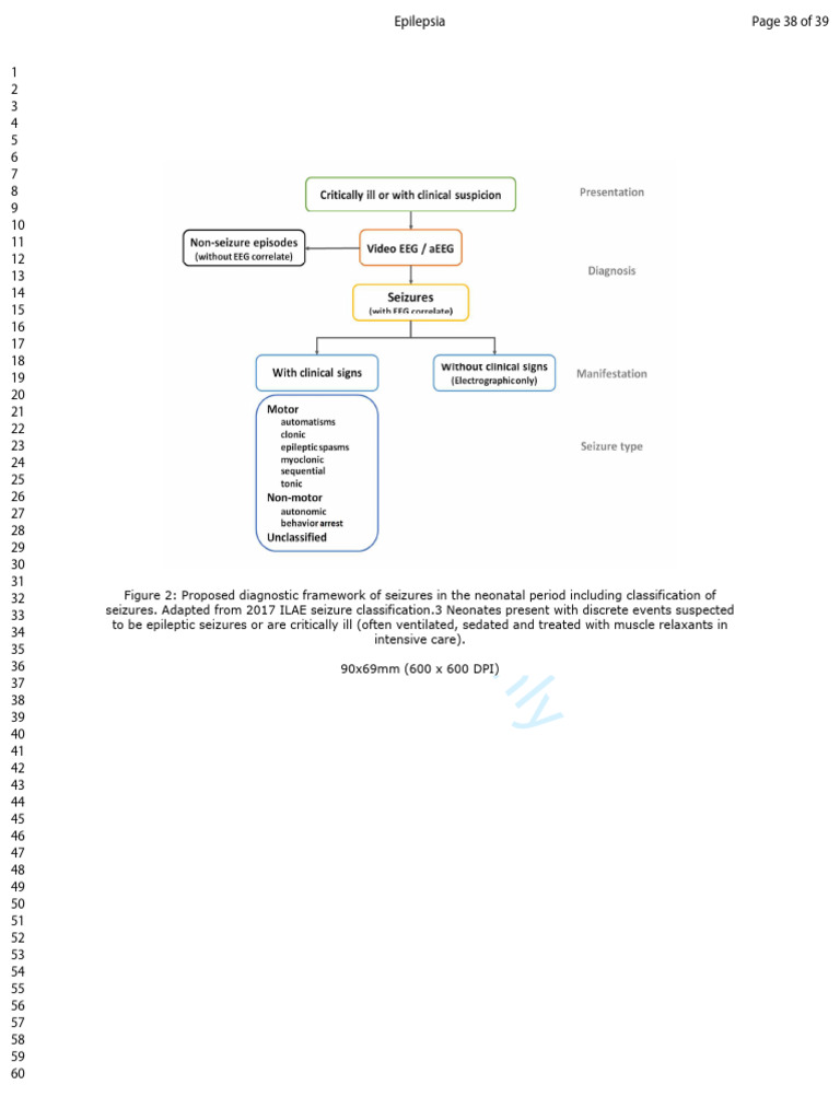 NeonatalSeizureClassification-ProofForWeb Pages 38, 39 | PDF