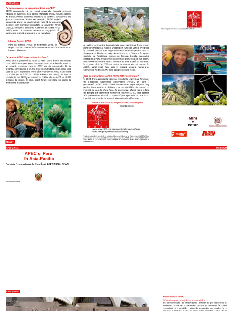 Triptic Apec | PDF