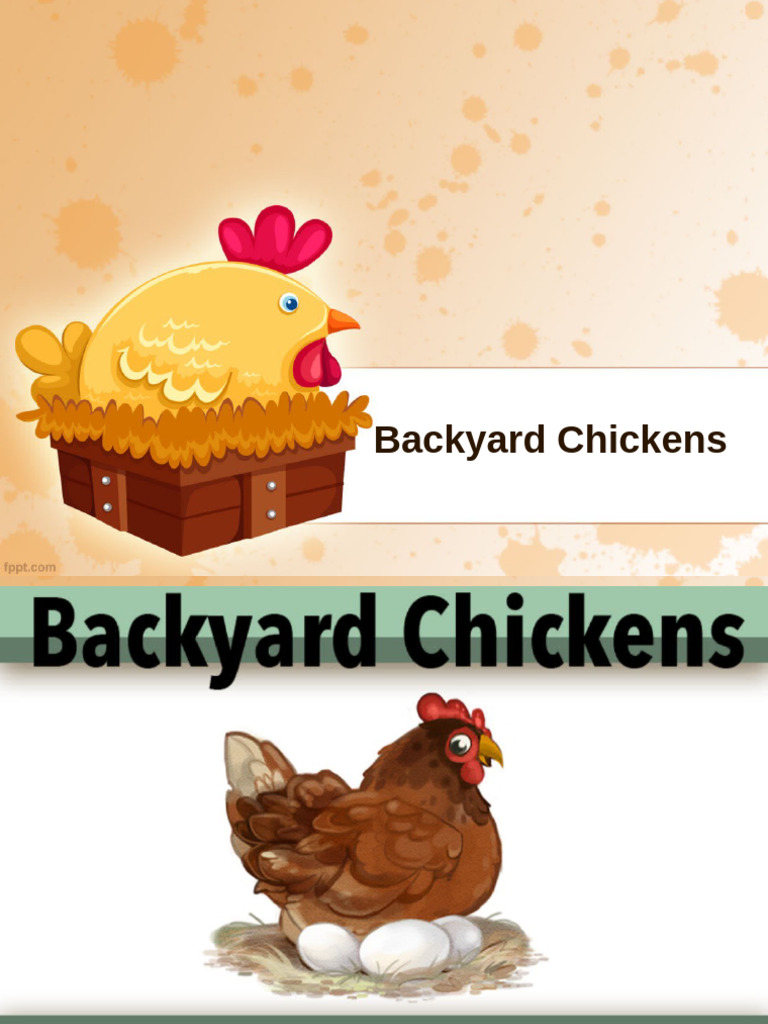 Backyard Chickens | PDF